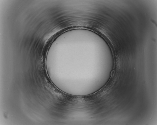 X0000102230971200808081343