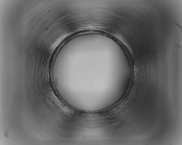 X0000102230972200808081343