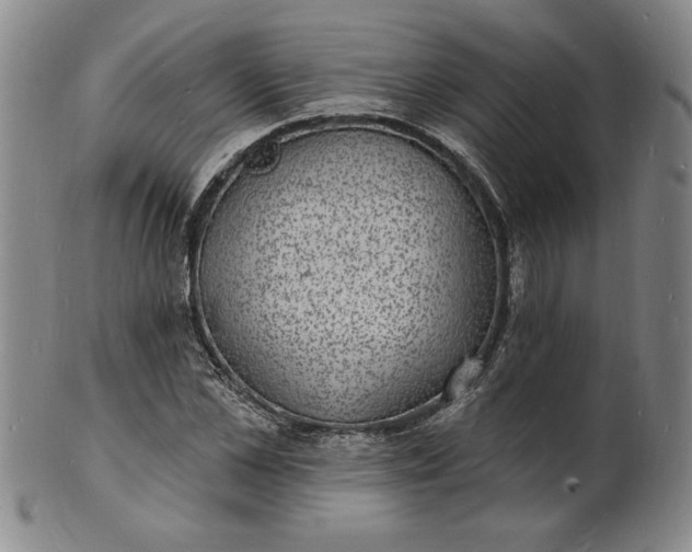 X0000102230973200808081343
