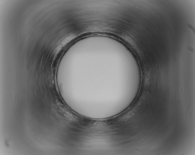 X0000102230974200808081343