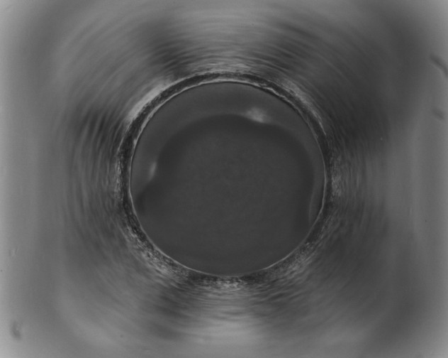 X0000102230975200808081343