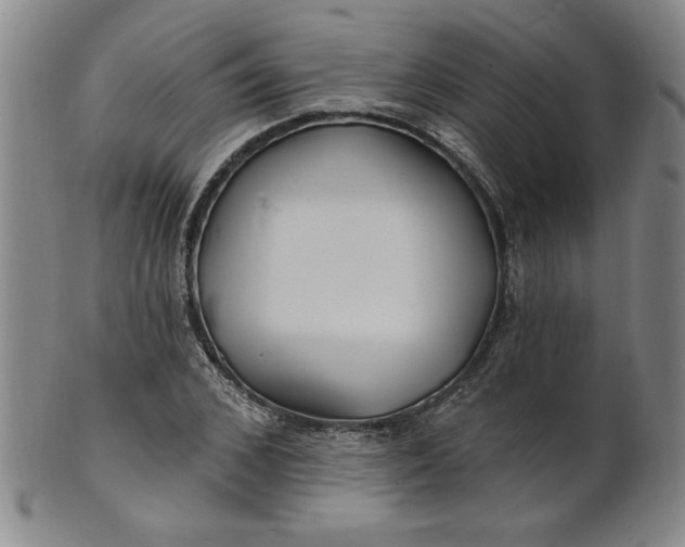 X0000102230976200808081343