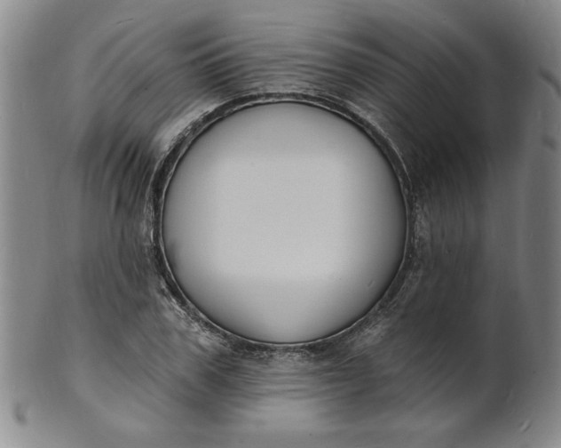 X0000102230979200808081343