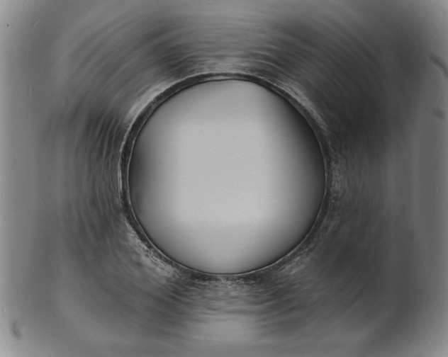 X0000102230980200808081343