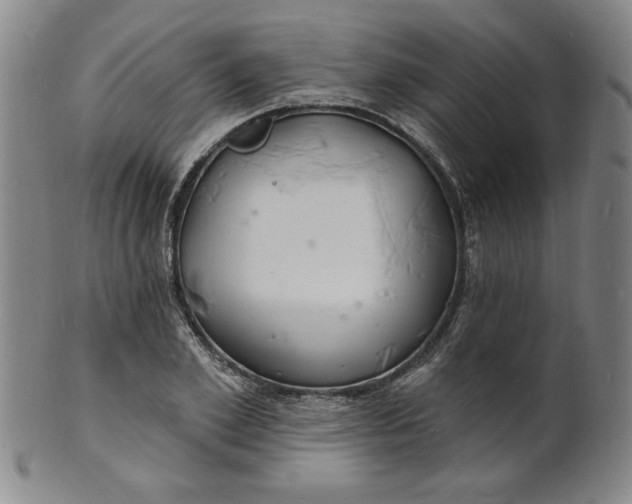 X0000102230981200808081343
