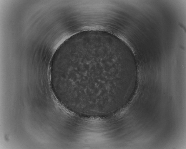 X0000102230983200808081343