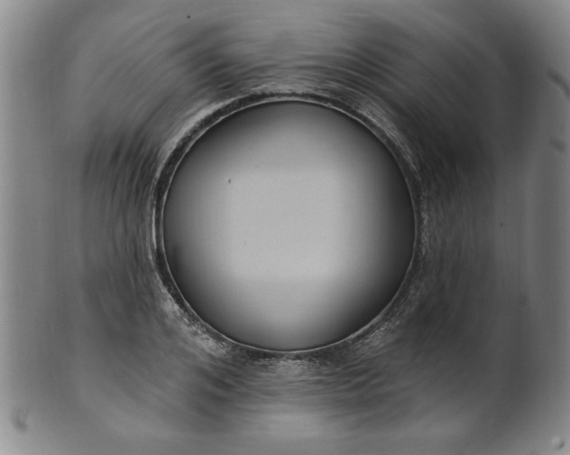 X0000102230984200808081343