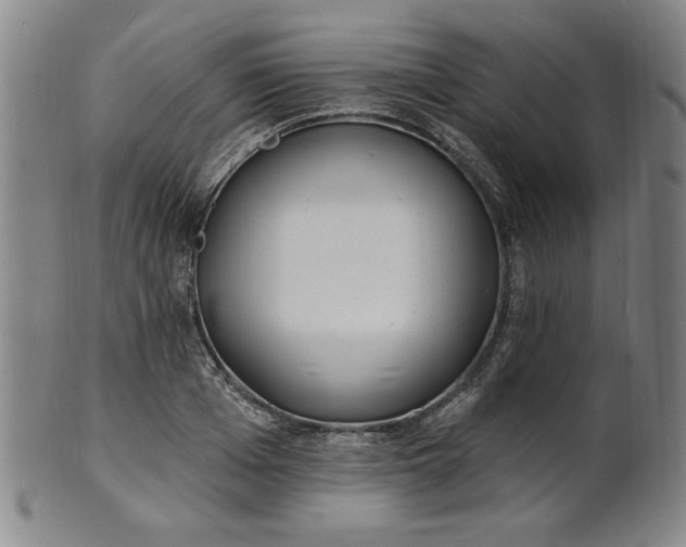 X0000102230985200808081343
