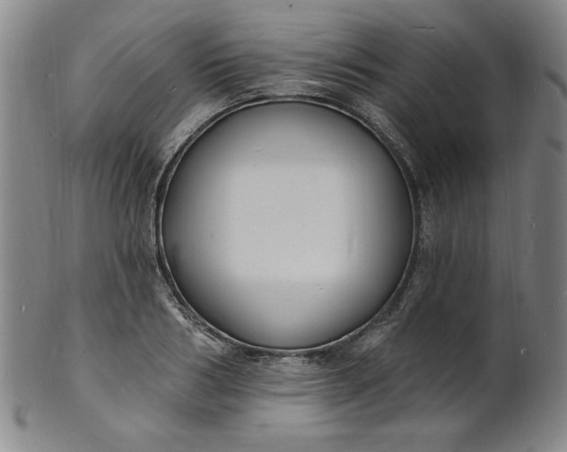X0000102230986200808081343