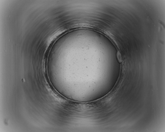 X0000102230987200808081343