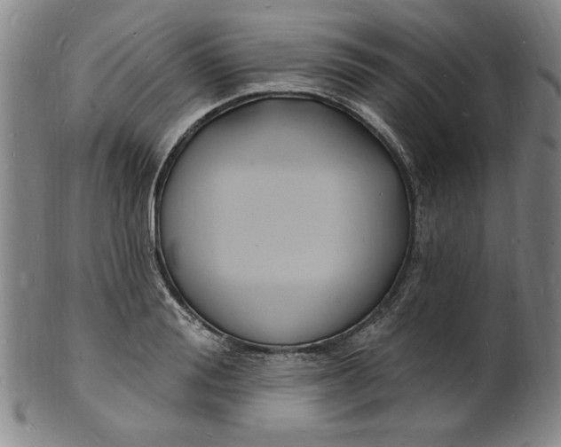 X0000102230988200808081343
