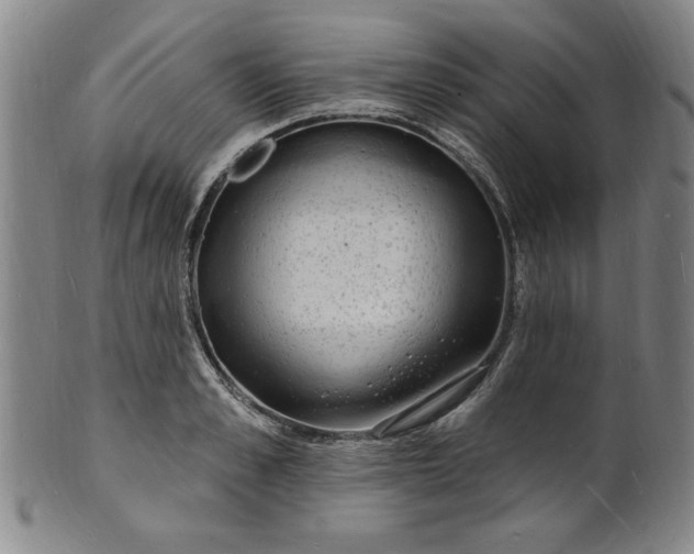 X0000102230989200808081343