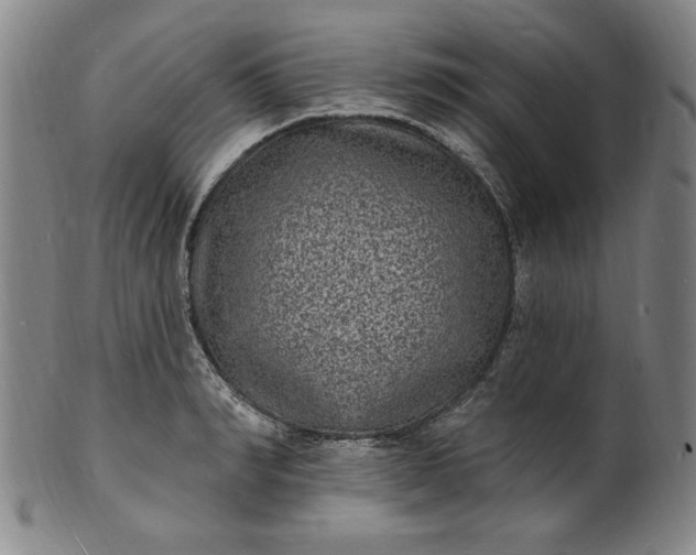 X0000102230990200808081343