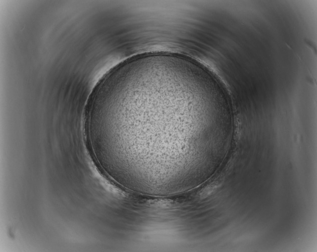X0000102230991200808081343