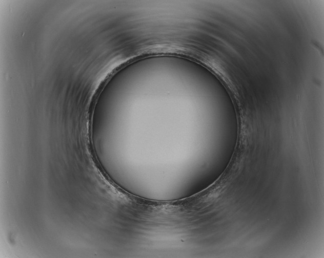 X0000102230992200808081343