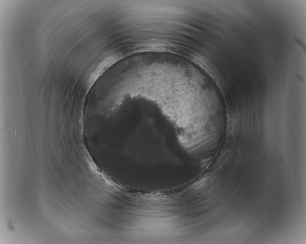X0000102230994200808081343