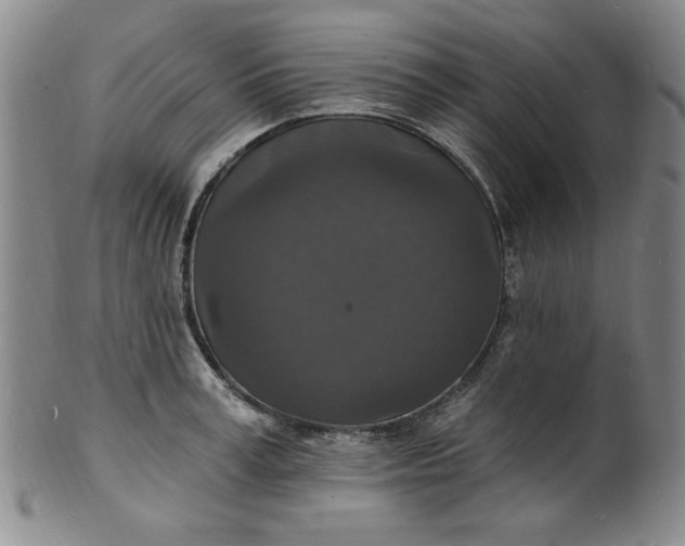 X0000102230995200808081343