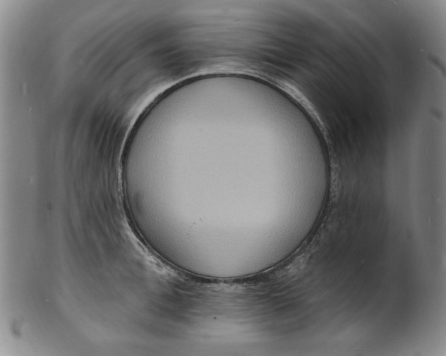 X0000102230996200808081343