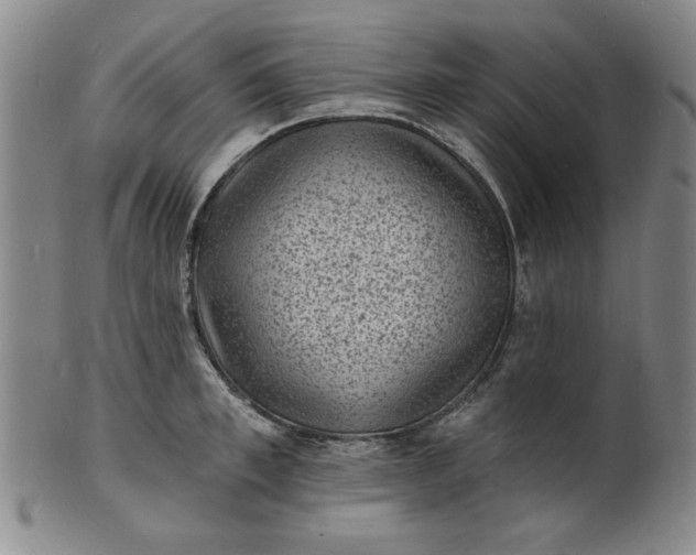 X0000102230997200808081343