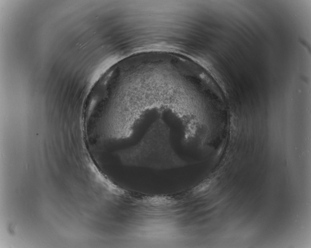 X0000102230998200808081343