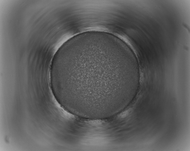 X0000102230999200808081343
