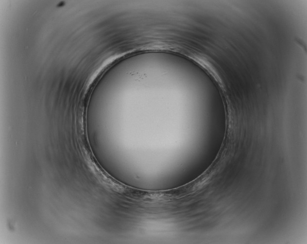 X0000102231000200808081343