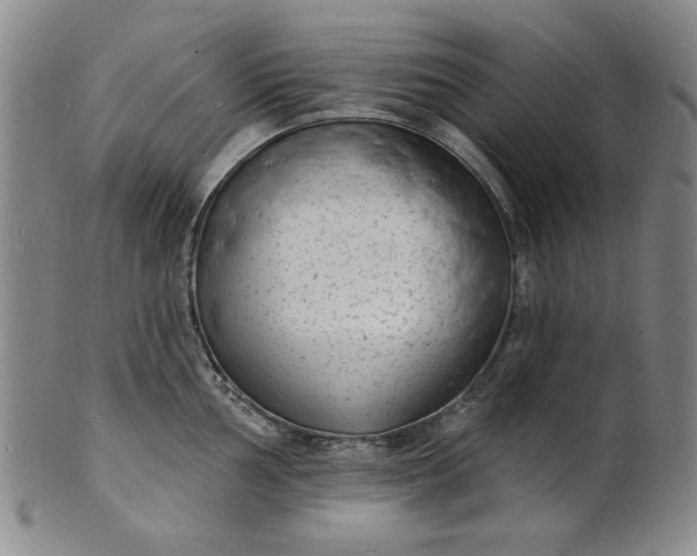 X0000102231002200808081343