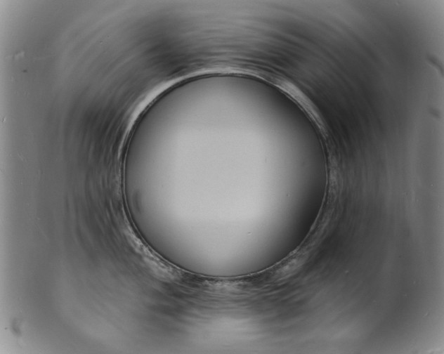 X0000102231004200808081343