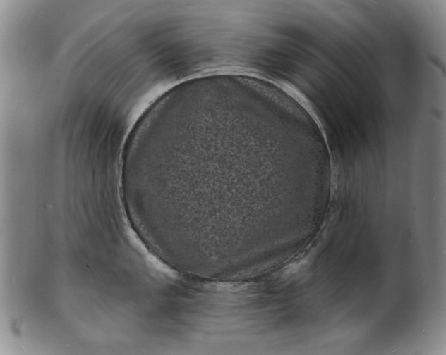 X0000102231005200808081343