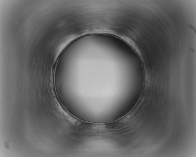 X0000102231006200808081343