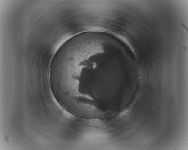 X0000102231007200808081343