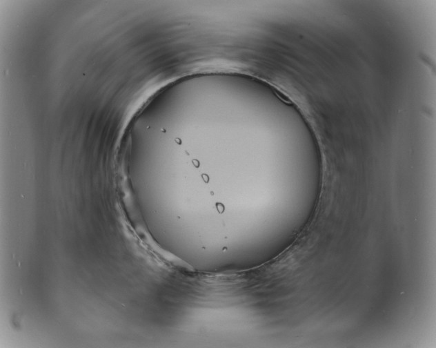 X0000102231008200808081343