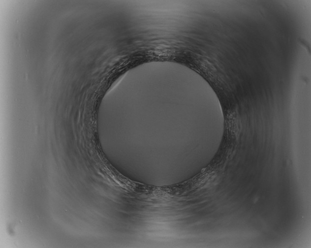 X0000102231009200808081342