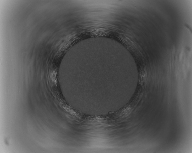 X0000102231010200808081342
