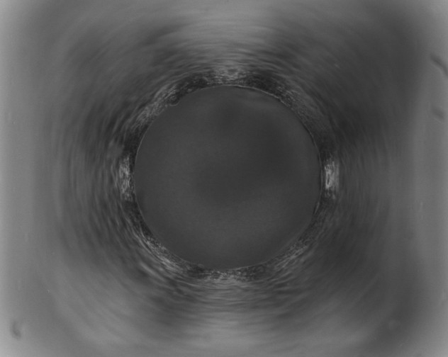 X0000102231011200808081342