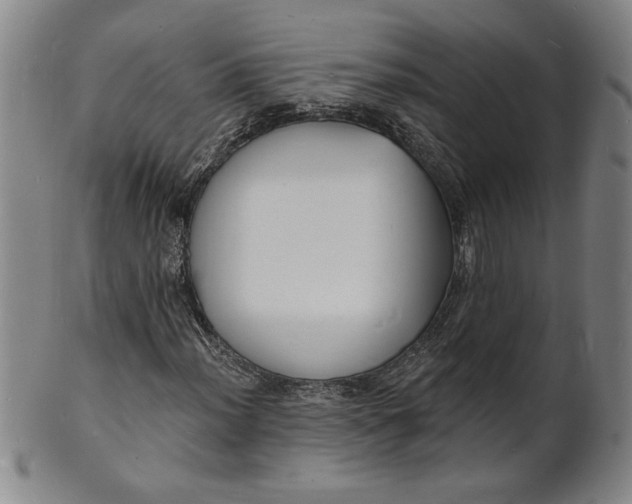 X0000102231012200808081342