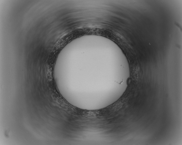 X0000102231013200808081342