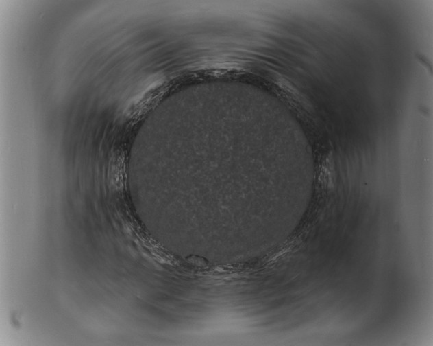 X0000102231014200808081342