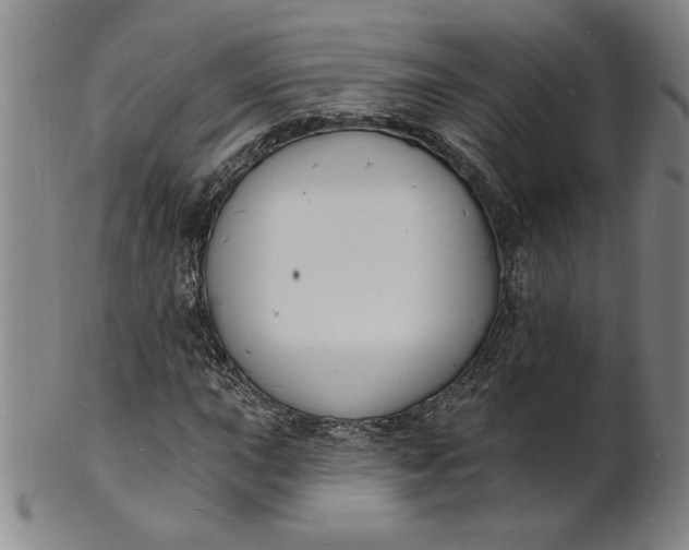 X0000102231015200808081342