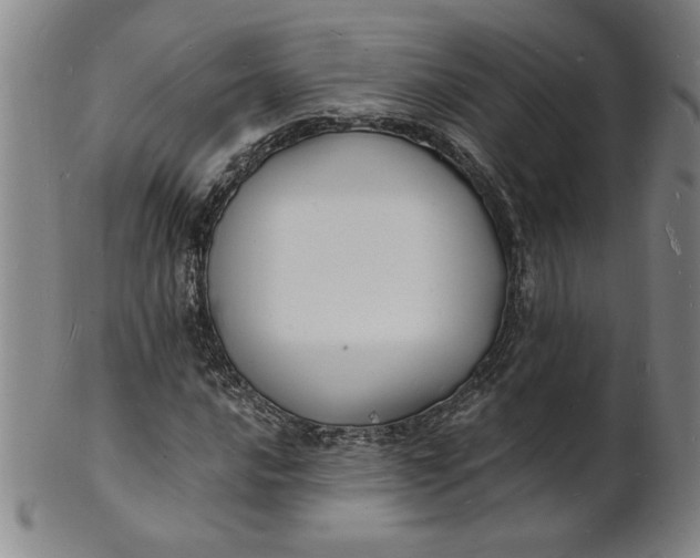 X0000102231016200808081342