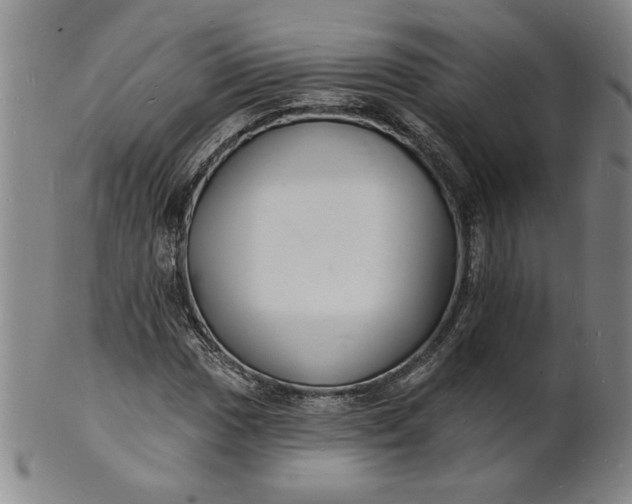 X0000102231017200808081342