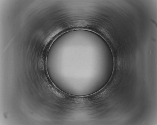 X0000102231018200808081342