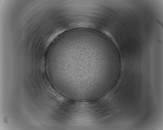 X0000102231019200808081342