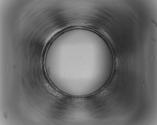 X0000102231020200808081342