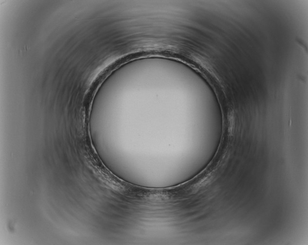 X0000102231021200808081342