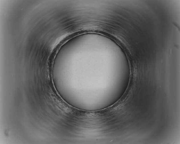 X0000102231022200808081342