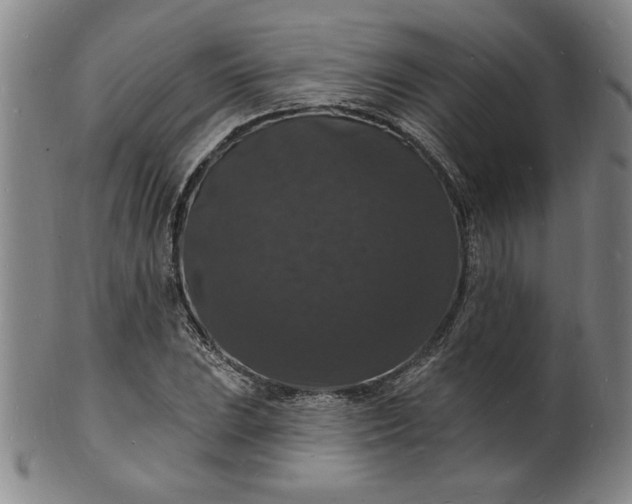 X0000102231023200808081342