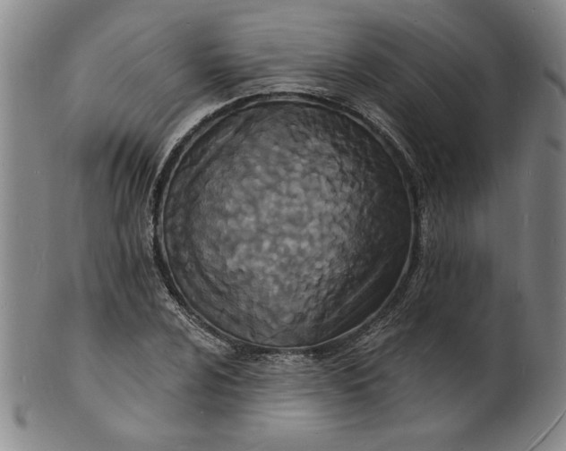 X0000102231024200808081342