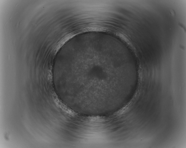 X0000102231025200808081342