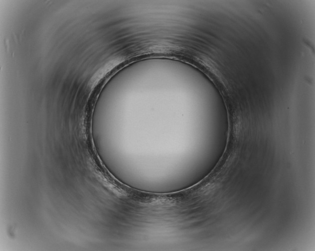X0000102231026200808081342